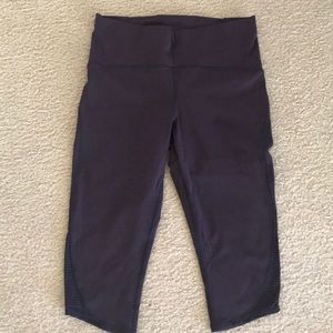 EUC plum Lulu crops
